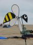 gal/Testival Beachshop/_thb_DSC06202.JPG